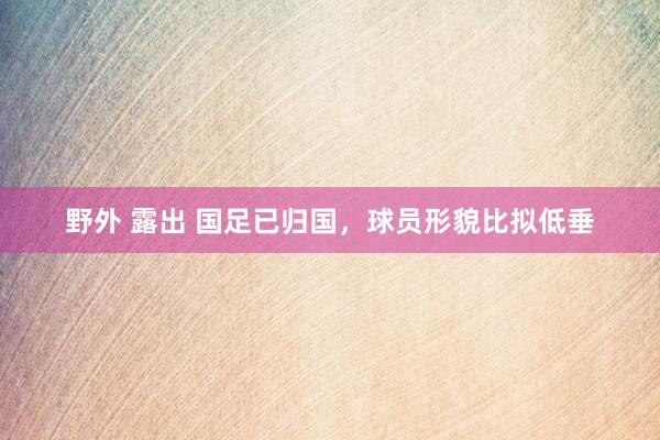 野外 露出 国足已归国，球员形貌比拟低垂