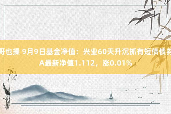 哥也操 9月9日基金净值：兴业60天升沉抓有短债债券A最新净值1.112，涨0.01%