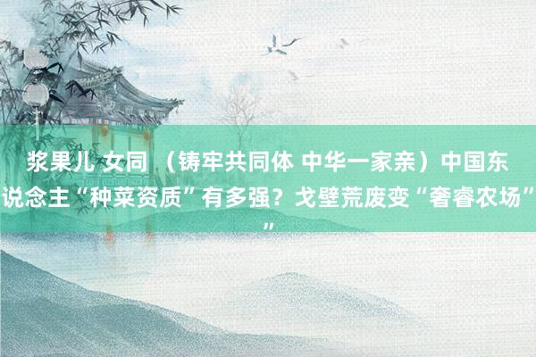 浆果儿 女同 （铸牢共同体 中华一家亲）中国东说念主“种菜资质”有多强？戈壁荒废变“奢睿农场”