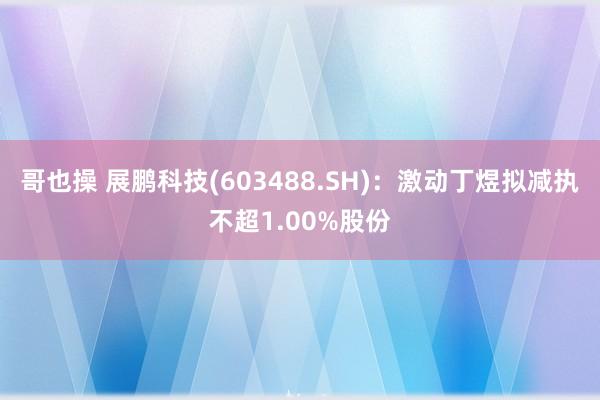 哥也操 展鹏科技(603488.SH)：激动丁煜拟减执不超1.00%股份