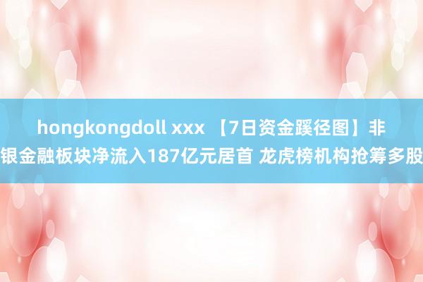 hongkongdoll xxx 【7日资金蹊径图】非银金融板块净流入187亿元居首 龙虎榜机构抢筹多股