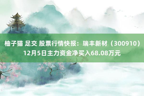 柚子猫 足交 股票行情快报：瑞丰新材（300910）12月5日主力资金净买入68.08万元