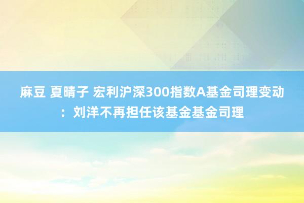 麻豆 夏晴子 宏利沪深300指数A基金司理变动：刘洋不再担任该基金基金司理