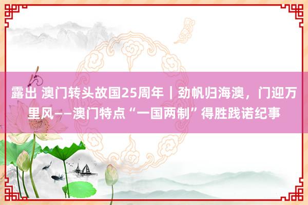 露出 澳门转头故国25周年｜劲帆归海澳，门迎万里风——澳门特点“一国两制”得胜践诺纪事