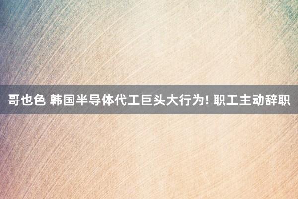 哥也色 韩国半导体代工巨头大行为! 职工主动辞职