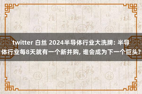 twitter 白丝 2024半导体行业大洗牌: 半导体行业每8天就有一个新并购， 谁会成为下一个巨头?