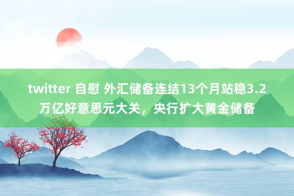 twitter 自慰 外汇储备连结13个月站稳3.2万亿好意思元大关，央行扩大黄金储备