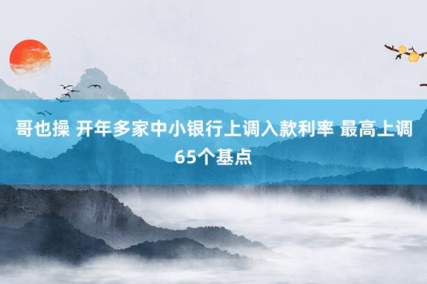 哥也操 开年多家中小银行上调入款利率 最高上调65个基点