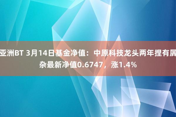 亚洲BT 3月14日基金净值：中原科技龙头两年捏有羼杂最新净值0.6747，涨1.4%