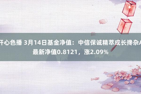 开心色播 3月14日基金净值：中信保诚精萃成长搀杂A最新净值0.8121，涨2.09%