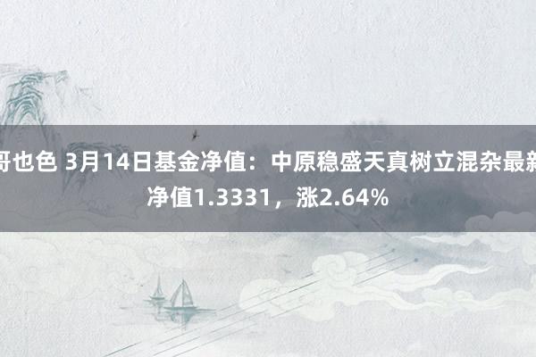 哥也色 3月14日基金净值：中原稳盛天真树立混杂最新净值1.3331，涨2.64%