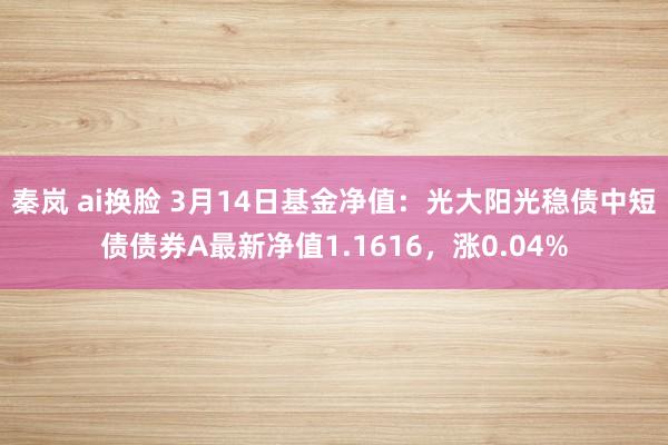 秦岚 ai换脸 3月14日基金净值：光大阳光稳债中短债债券A最新净值1.1616，涨0.04%