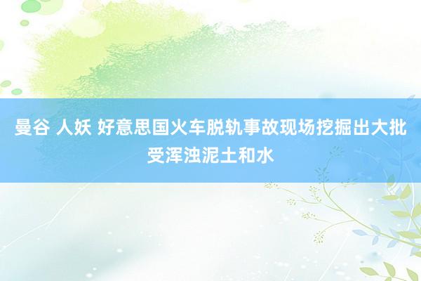 曼谷 人妖 好意思国火车脱轨事故现场挖掘出大批受浑浊泥土和水