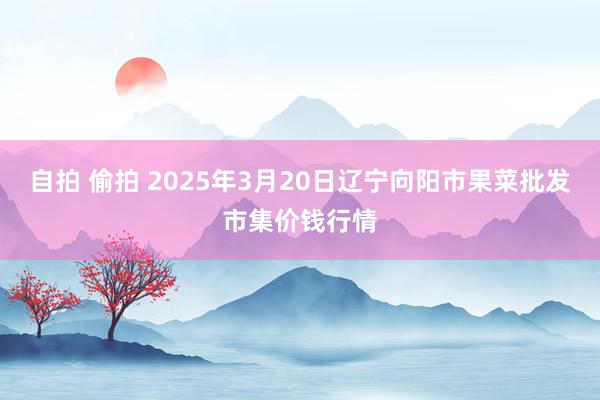 自拍 偷拍 2025年3月20日辽宁向阳市果菜批发市集价钱行情