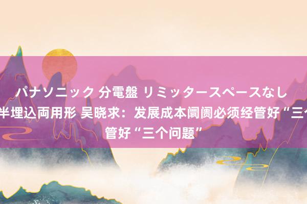 パナソニック 分電盤 リミッタースペースなし 露出・半埋込両用形 吴晓求：发展成本阛阓必须经管好“三个问题”