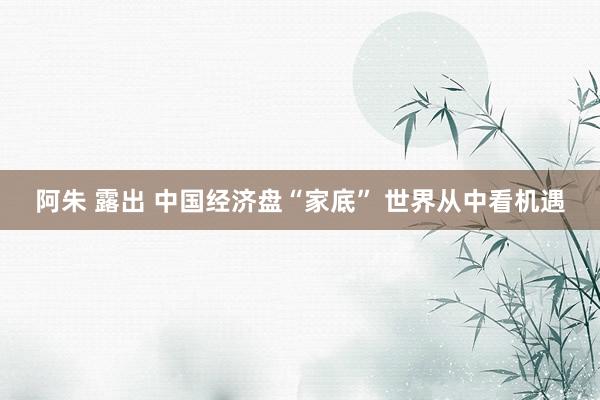 阿朱 露出 中国经济盘“家底” 世界从中看机遇