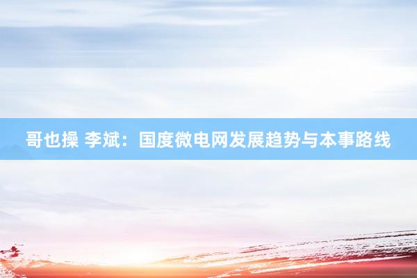 哥也操 李斌：国度微电网发展趋势与本事路线