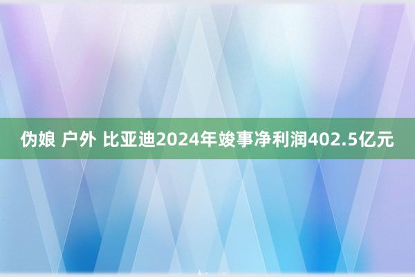 伪娘 户外 比亚迪2024年竣事净利润402.5亿元