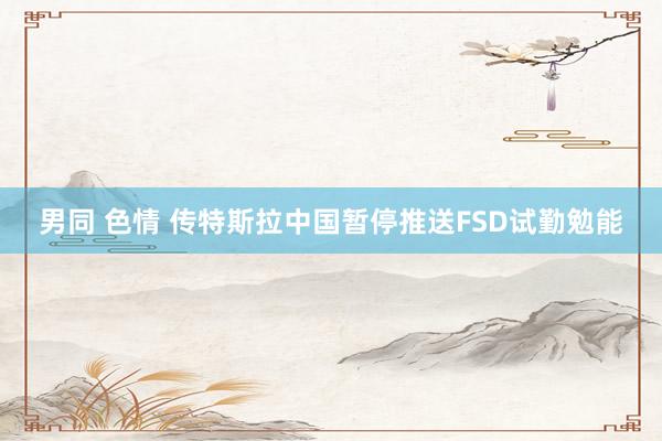 男同 色情 传特斯拉中国暂停推送FSD试勤勉能