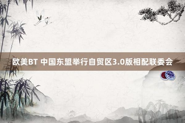 欧美BT 中国东盟举行自贸区3.0版相配联委会
