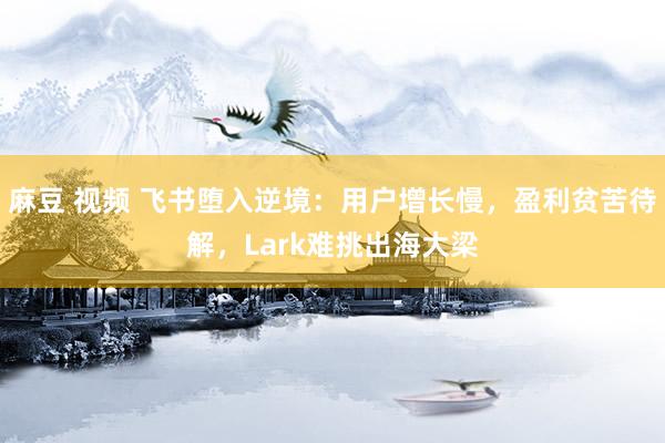 麻豆 视频 飞书堕入逆境：用户增长慢，盈利贫苦待解，Lark难挑出海大梁