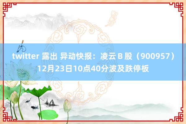twitter 露出 异动快报：凌云Ｂ股（900957）12月23日10点40分波及跌停板