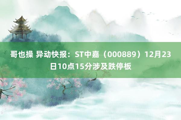 哥也操 异动快报：ST中嘉（000889）12月23日10点15分涉及跌停板