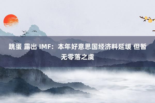 跳蛋 露出 IMF：本年好意思国经济料延缓 但暂无零落之虞