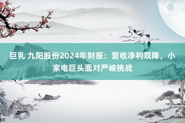 巨乳 九阳股份2024年财报：营收净利双降，小家电巨头面对严峻挑战