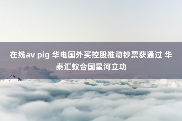 在线av pig 华电国外买控股推动钞票获通过 华泰汇蚁合国星河立功