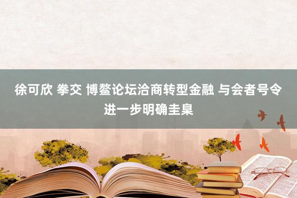 徐可欣 拳交 博鳌论坛洽商转型金融 与会者号令进一步明确圭臬