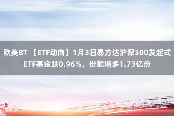 欧美BT 【ETF动向】1月3日易方达沪深300发起式ETF基金跌0.96%，份额增多1.73亿份