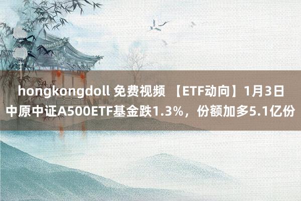 hongkongdoll 免费视频 【ETF动向】1月3日中原中证A500ETF基金跌1.3%，份额加多5.1亿份