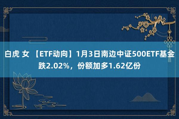 白虎 女 【ETF动向】1月3日南边中证500ETF基金跌2.02%，份额加多1.62亿份