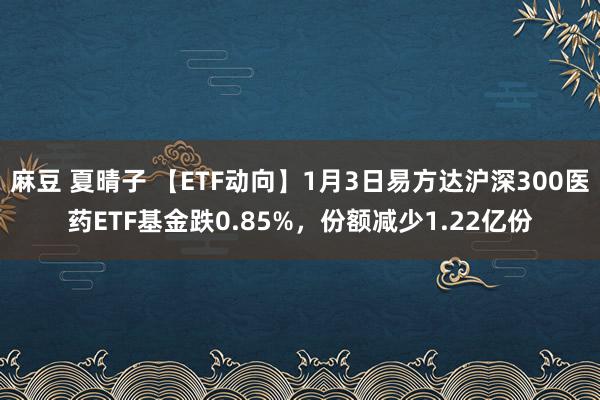 麻豆 夏晴子 【ETF动向】1月3日易方达沪深300医药ETF基金跌0.85%，份额减少1.22亿份