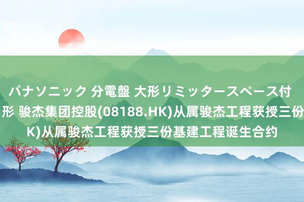 パナソニック 分電盤 大形リミッタースペース付 露出・半埋込両用形 骏杰集团控股(08188.HK)从属骏杰工程获授三份基建工程诞生合约