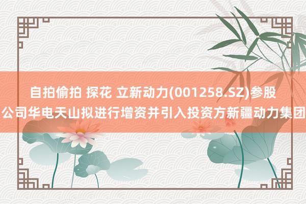 自拍偷拍 探花 立新动力(001258.SZ)参股公司华电天山拟进行增资并引入投资方新疆动力集团