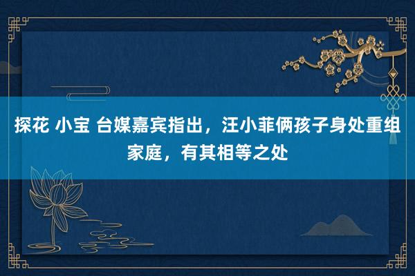探花 小宝 台媒嘉宾指出，汪小菲俩孩子身处重组家庭，有其相等之处