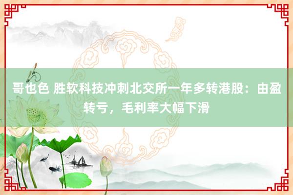 哥也色 胜软科技冲刺北交所一年多转港股：由盈转亏，毛利率大幅下滑