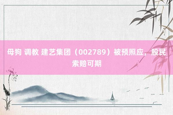 母狗 调教 建艺集团（002789）被预照应，股民索赔可期