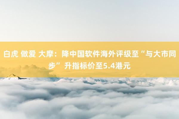 白虎 做爱 大摩：降中国软件海外评级至“与大市同步” 升指标价至5.4港元