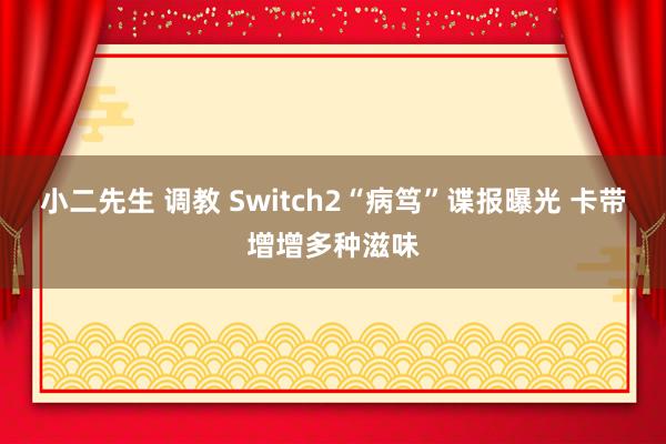 小二先生 调教 Switch2“病笃”谍报曝光 卡带增增多种滋味