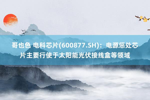 哥也色 电科芯片(600877.SH)：电源惩处芯片主要行使于太阳能光伏接线盒等领域