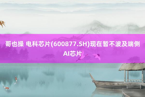 哥也操 电科芯片(600877.SH)现在暂不波及端侧AI芯片