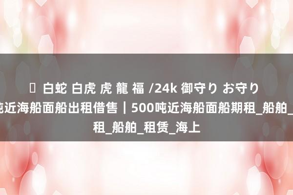✨白蛇 白虎 虎 龍 福 /24k 御守り お守り 总吨500吨近海船面船出租借售｜500吨近海船面船期租_船舶_租赁_海上