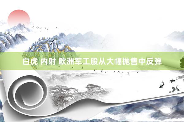白虎 内射 欧洲军工股从大幅抛售中反弹
