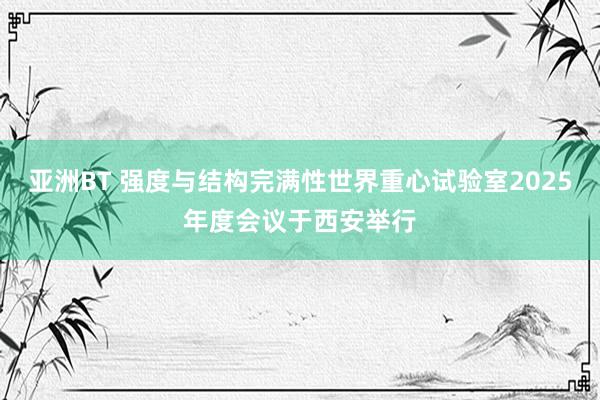 亚洲BT 强度与结构完满性世界重心试验室2025年度会议于西安举行