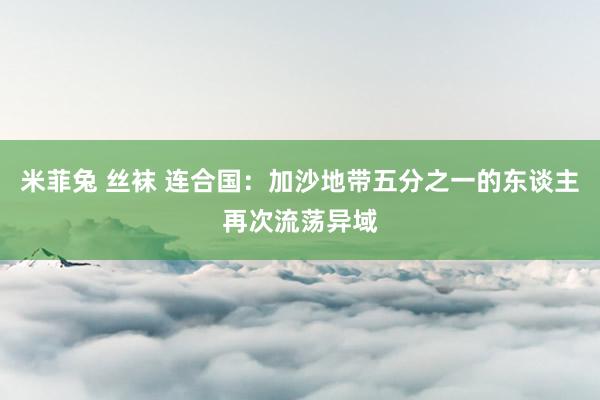 米菲兔 丝袜 连合国：加沙地带五分之一的东谈主再次流荡异域