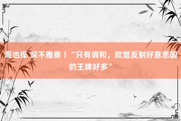 哥也操 深不雅察丨“只有调和，欧盟反制好意思国的王牌好多”