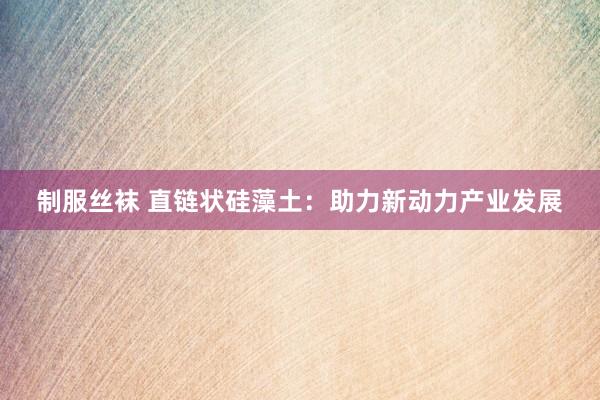 制服丝袜 直链状硅藻土：助力新动力产业发展
